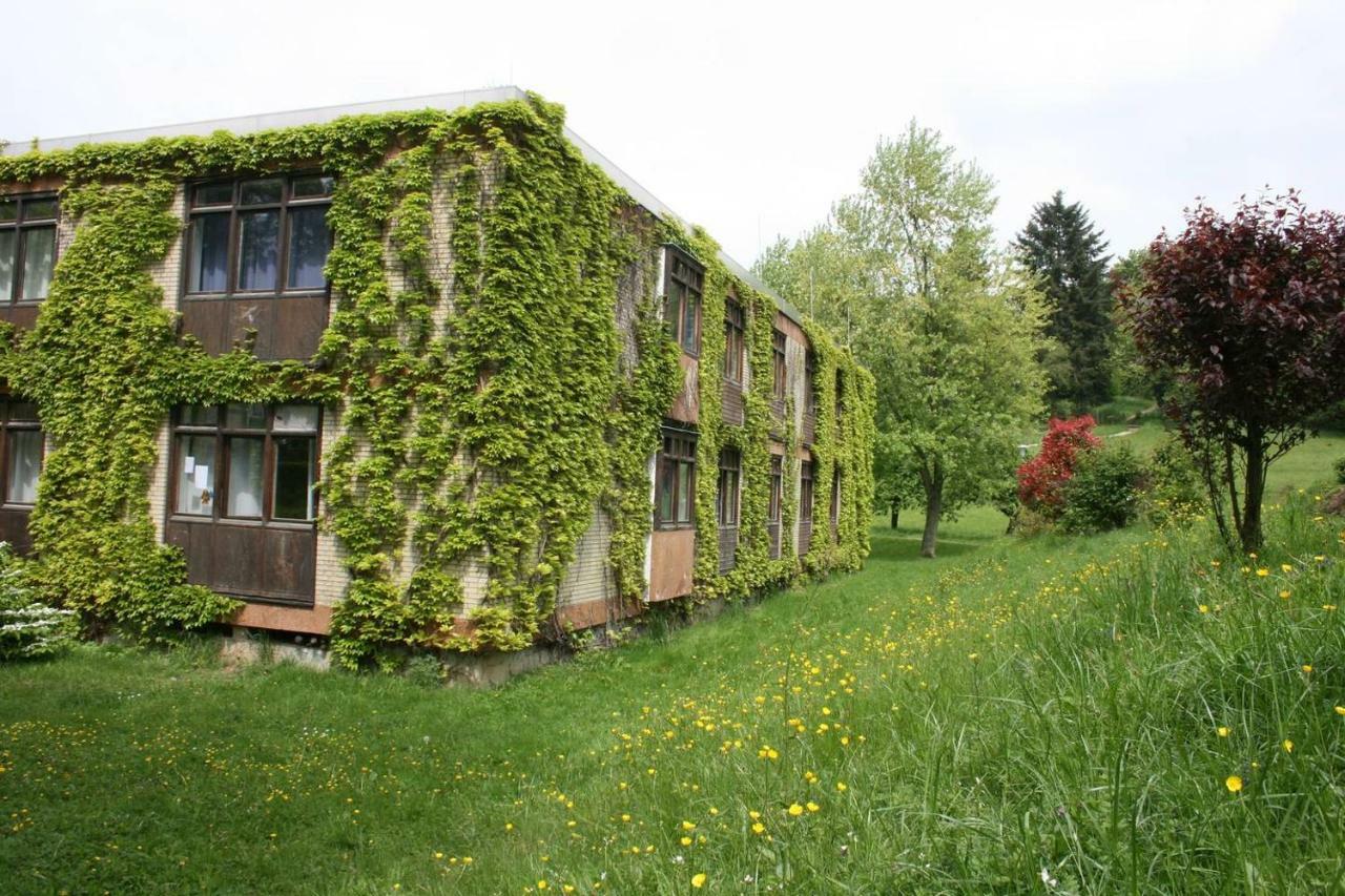 Parkblick Appartement - Entspannung Pur! Ober-Hambach Екстер'єр фото